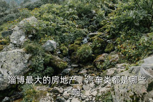  淄博最大的房地產、汽車類都是哪些啊