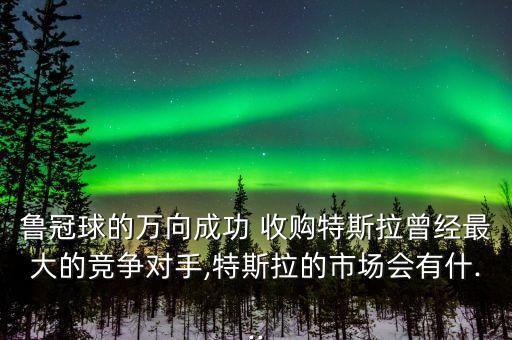 魯冠球的萬向成功 收購特斯拉曾經(jīng)最大的競(jìng)爭對(duì)手,特斯拉的市場(chǎng)會(huì)有什...