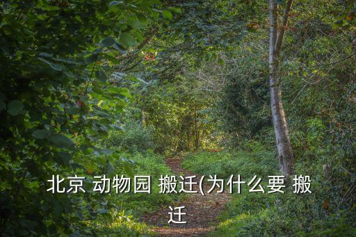 北京動(dòng)物園批發(fā)市場搬遷時(shí)間