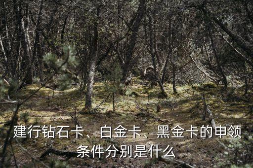  建行鉆石卡、白金卡、黑金卡的申領(lǐng)條件分別是什么