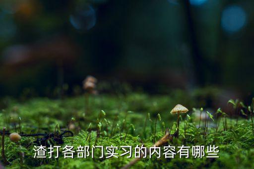 渣打各部門(mén)實(shí)習(xí)的內(nèi)容有哪些