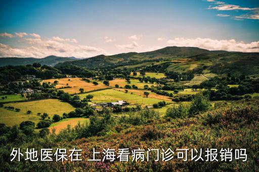 外地醫(yī)保在 上?？床￠T診可以報(bào)銷嗎