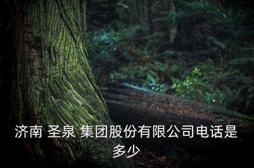 濟(jì)南 圣泉 集團(tuán)股份有限公司電話(huà)是多少