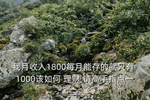 我月收入1800每月能存的就只有 1000該如何 理財,請高手指點(diǎn)一二.