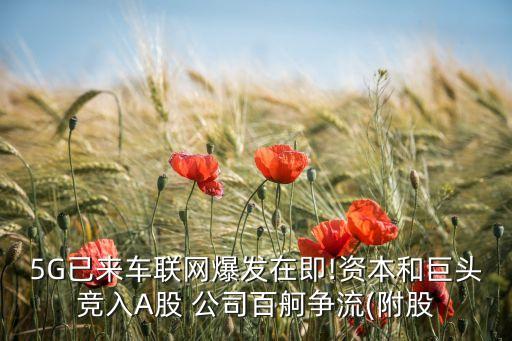 5G已來車聯(lián)網爆發(fā)在即!資本和巨頭競入A股 公司百舸爭流(附股