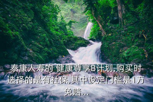 泰康人壽的 健康尊享B計(jì)劃,購買時選擇的是有社保,其中設(shè)定門檻是1萬免賠...