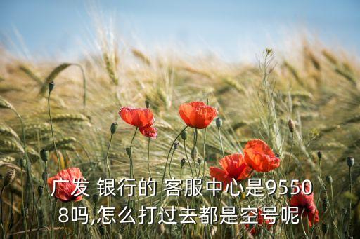  廣發(fā) 銀行的 客服中心是95508嗎,怎么打過(guò)去都是空號(hào)呢