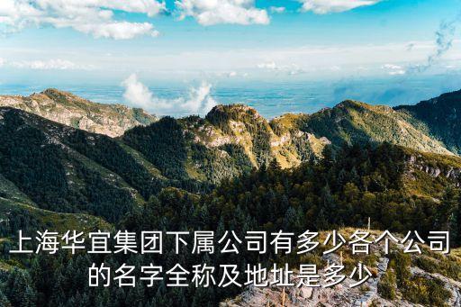 上海華宜集團(tuán)下屬公司有多少各個公司的名字全稱及地址是多少