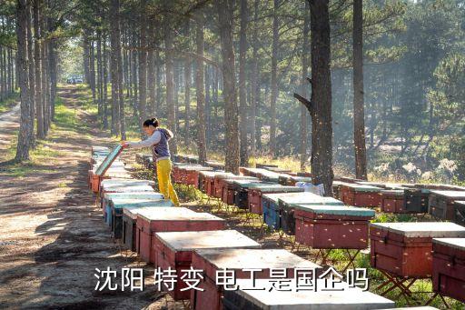 沈陽(yáng) 特變 電工是國(guó)企嗎