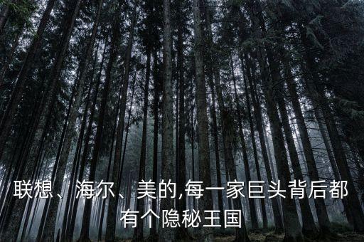聯(lián)想、海爾、美的,每一家巨頭背后都有個隱秘王國