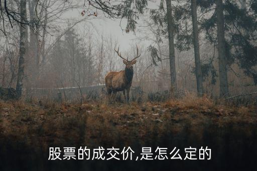 股票定價(jià)問(wèn)題,非公開發(fā)行股票如何定價(jià)