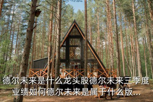 德?tīng)栁磥?lái)是什么龍頭股德?tīng)栁磥?lái)三季度業(yè)績(jī)?nèi)绾蔚聽(tīng)栁磥?lái)是屬于什么版...