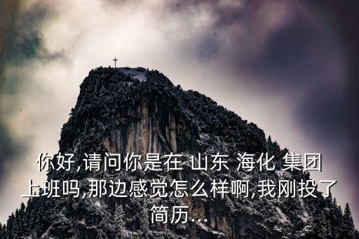 你好,請(qǐng)問(wèn)你是在 山東 ?；?集團(tuán)上班嗎,那邊感覺(jué)怎么樣啊,我剛投了簡(jiǎn)歷...