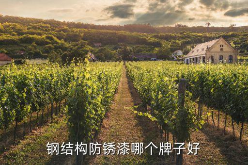 鋼結構防銹漆哪個牌子好