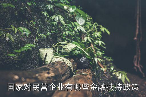 政府性擔(dān)?；?政府創(chuàng)業(yè)擔(dān)?；鹗菄业膯?/></a></span><span id=
