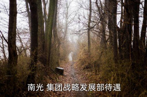 南光集團(tuán)?？?南光(集團(tuán))有限公司