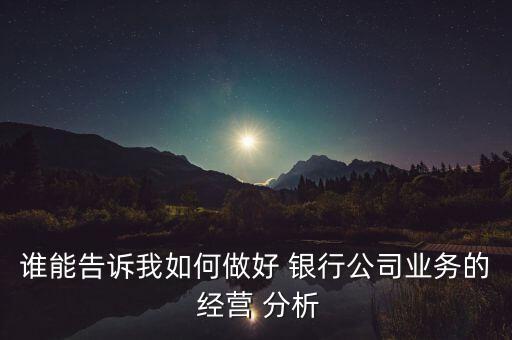誰能告訴我如何做好 銀行公司業(yè)務(wù)的 經(jīng)營(yíng) 分析