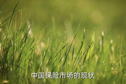中國保險(xiǎn)市場的現(xiàn)狀