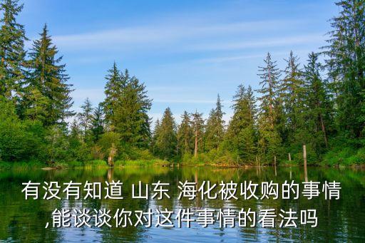 有沒(méi)有知道 山東 ?；皇召?gòu)的事情,能談?wù)勀銓?duì)這件事情的看法嗎