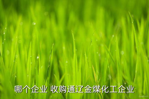 哪個企業(yè) 收購通遼金煤化工企業(yè)