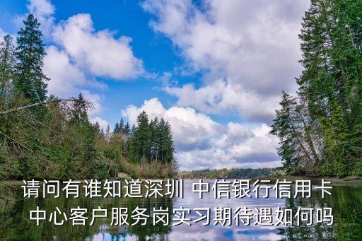 請問有誰知道深圳 中信銀行信用卡 中心客戶服務(wù)崗實(shí)習(xí)期待遇如何嗎