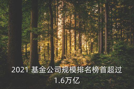 第八屆金?；鸺敖鹋；鸸精@獎(jiǎng)名單