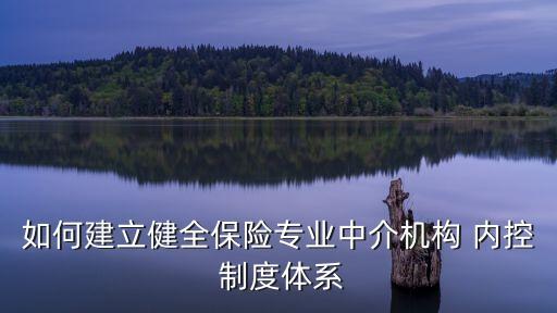 如何建立健全保險(xiǎn)專(zhuān)業(yè)中介機(jī)構(gòu) 內(nèi)控 制度體系