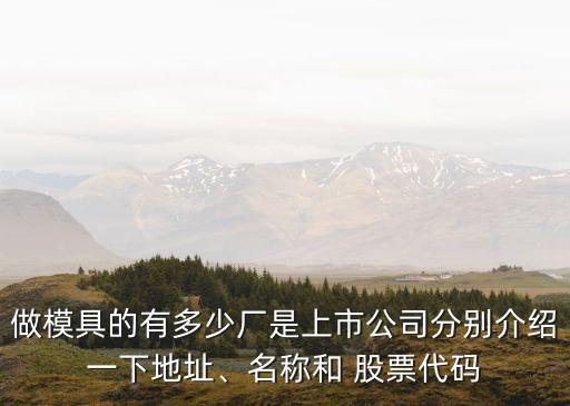 做模具的有多少?gòu)S是上市公司分別介紹一下地址、名稱(chēng)和 股票代碼