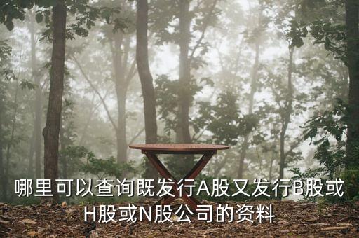 哪里可以查詢(xún)既發(fā)行A股又發(fā)行B股或H股或N股公司的資料