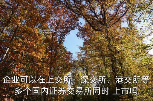 企業(yè)可以在上交所、深交所、港交所等多個國內(nèi)證券交易所同時 上市嗎