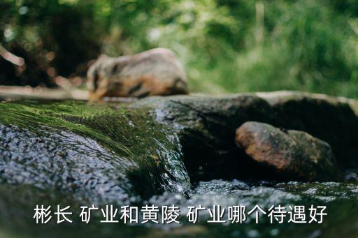 陜西彬長礦業(yè)集團有限公司煤化工公司,2、陜西彬長礦業(yè)集團有限公司