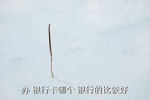 強(qiáng)制儲(chǔ)蓄在哪個(gè)銀行辦最好了,哪個(gè)銀行容易辦儲(chǔ)蓄一類卡?