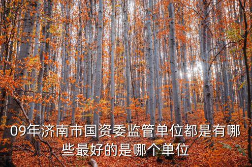 09年濟(jì)南市國資委監(jiān)管單位都是有哪些最好的是哪個(gè)單位