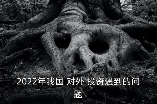 2022年我國 對(duì)外 投資遇到的問題
