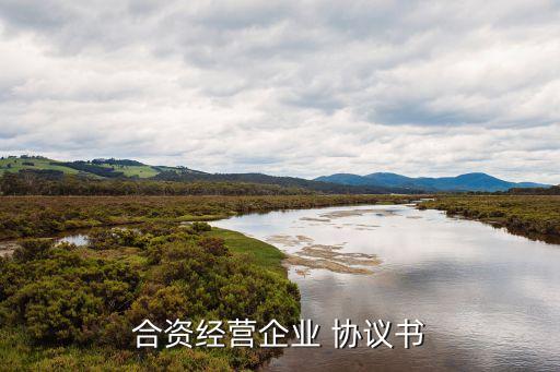 合作成立公司協議書,雙方成立公司協議書