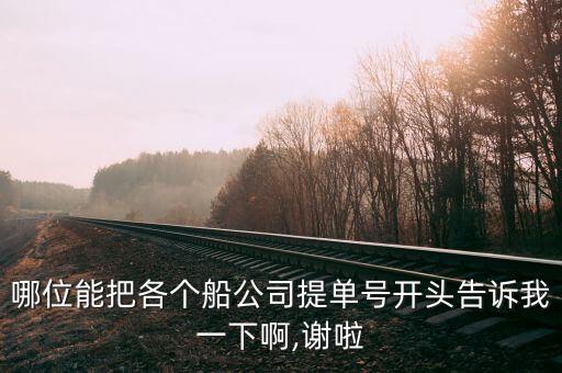哪位能把各個(gè)船公司提單號(hào)開(kāi)頭告訴我一下啊,謝啦