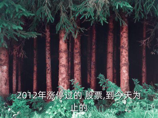 2012年漲停過(guò)的 股票,到今天為止的