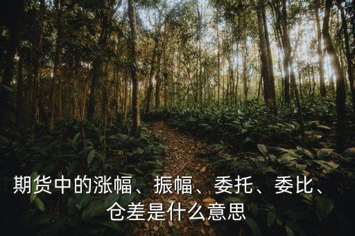 期貨中的漲幅、振幅、委托、委比、 倉差是什么意思