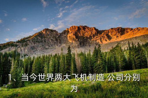 1、當(dāng)今世界兩大飛機制造 公司分別為