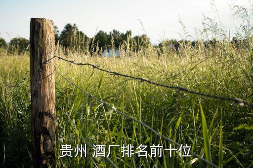 貴州 酒廠(chǎng)排名前十位