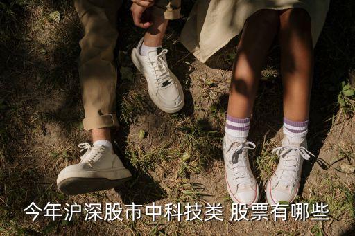 今年滬深股市中科技類(lèi) 股票有哪些