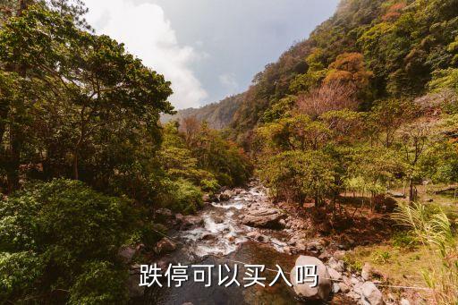 跌?？梢再I入嗎