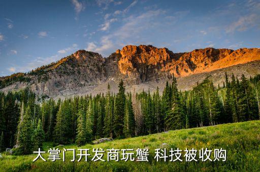 大掌門(mén)開(kāi)發(fā)商玩蟹 科技被收購(gòu)