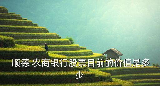  順德 農商銀行股票目前的價值是多少