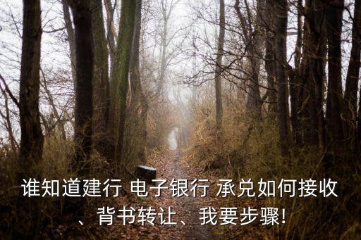 誰知道建行 電子銀行 承兌如何接收、背書轉讓、我要步驟!