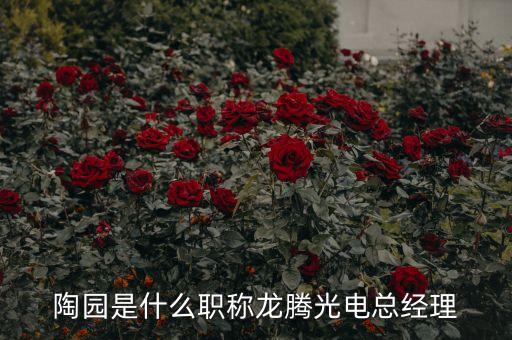 陶園是什么職稱龍騰光電總經(jīng)理