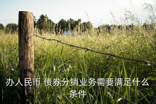 辦人民幣 債券分銷業(yè)務需要滿足什么條件