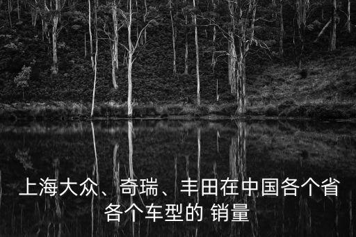  上海大眾、奇瑞、豐田在中國各個(gè)省各個(gè)車型的 銷量