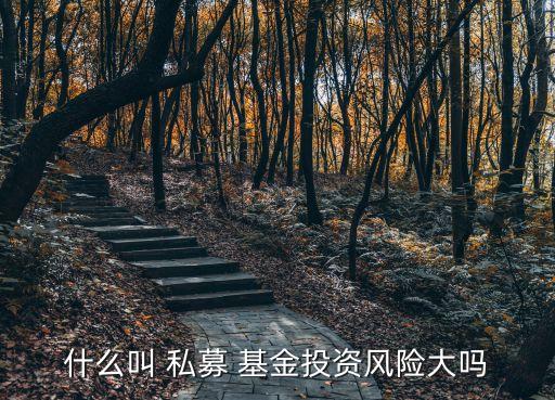 什么叫 私募 基金投資風險大嗎