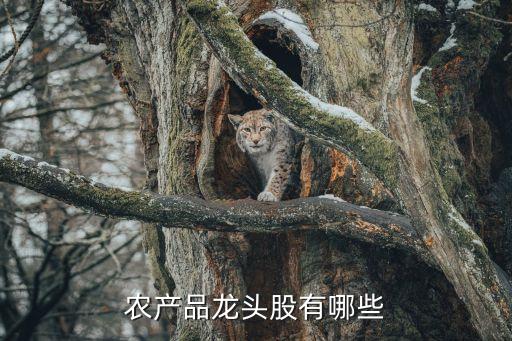 農產(chǎn)品龍頭股有哪些